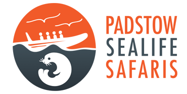 Padstow Sealife Safaris
